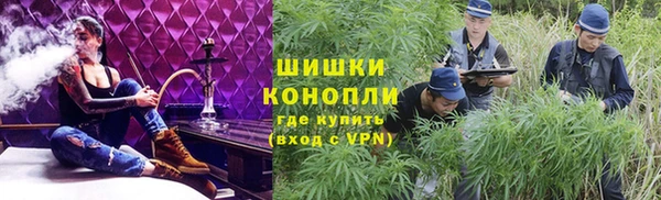 сатива Балабаново