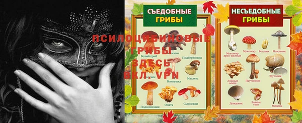 сатива Балабаново