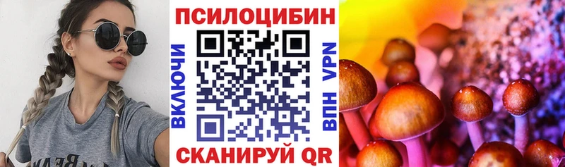 Псилоцибиновые грибы Psilocybine cubensis  Высоковск 